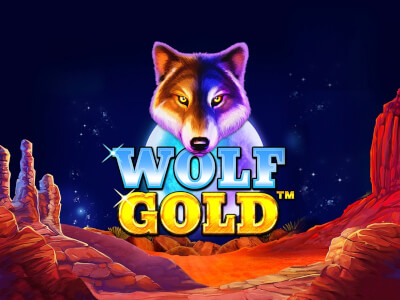 Wolf Gold Slot - 현대 슬롯 게임의 상징