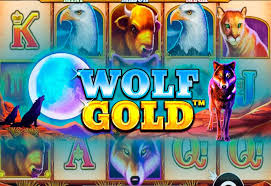 Wolf Gold Slot - 현대 슬롯 게임의 상징